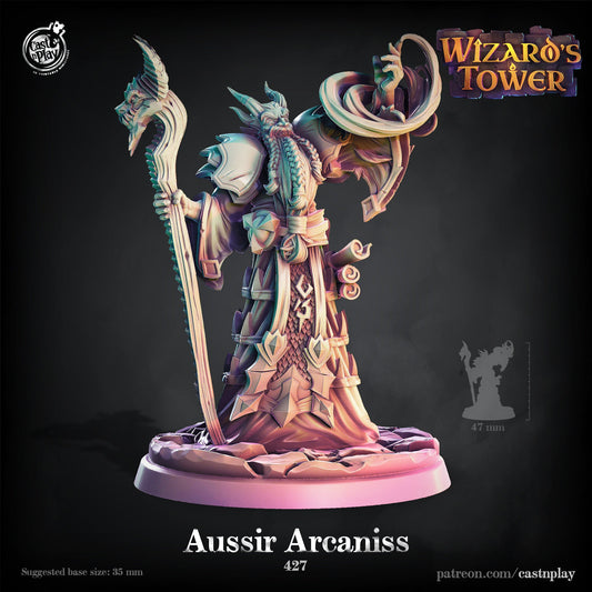 Aussir Arcaniss | Dragon Wizard |  D&D  |  3D Printed | Cast n Play | Pathfinder | Tabletop | mage | Magic | Wizard Tower