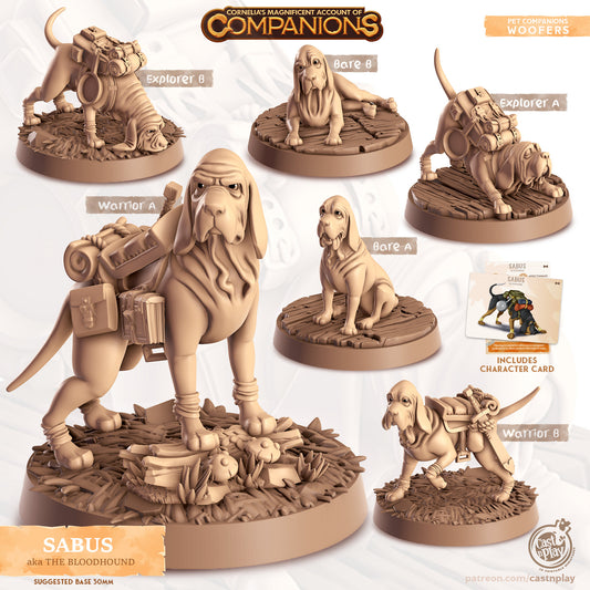 Sabus, The Bloodhound Companion | D&D | 3D Printed | HD Resin Miniature | Cast n Play | Pathfinder | Tabletop | dog | Companions | Familiar