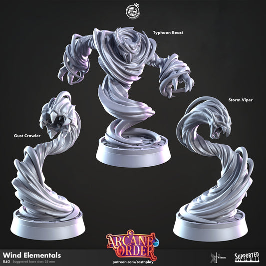 Wind Elementals | D&D | Miniature | Arcane Order | NPC | Witch | Sorcerer | Magic | Summon | Pet