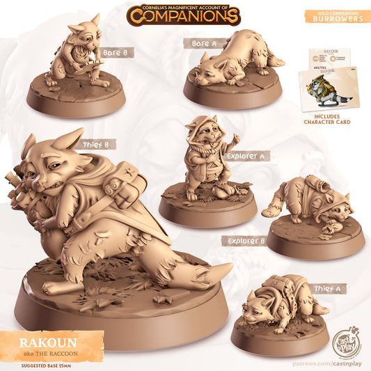 Rakoun, the Raccoon | D&D | 3D Printed | HD Resin Miniature | Cast n Play | Pathfinder | Tabletop | Raccoon | Companions | Familiar