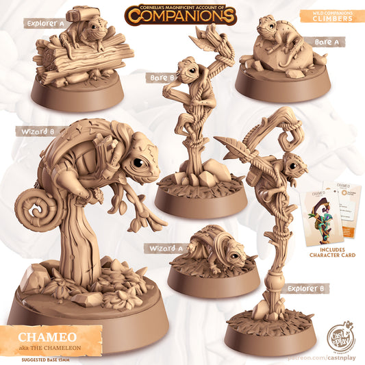 Chameo, The Chameleon | D&D | 3D Printed | HD Resin Miniature | Cast n Play | Pathfinder | Tabletop | Chameleon | Companions | Familiar