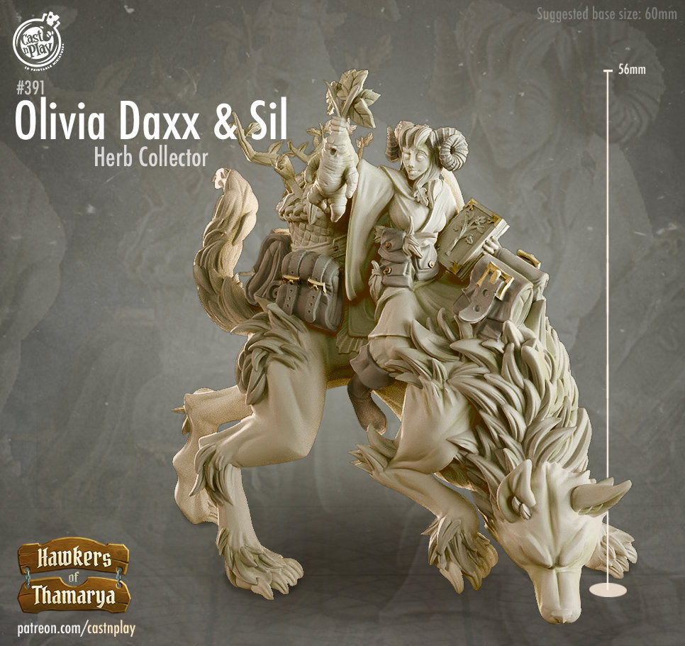 Olivia Daxx and Sil |  D&D  |  3D Printed | HD Resin Miniature | Cast n Play | Pathfinder | Tabletop | herb vendor