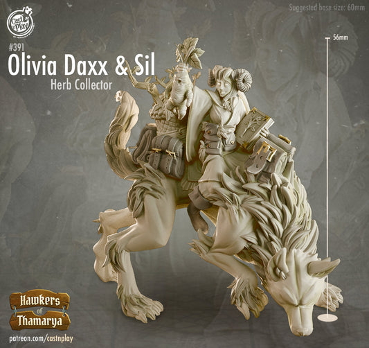 Olivia Daxx and Sil |  D&D  |  3D Printed | HD Resin Miniature | Cast n Play | Pathfinder | Tabletop | herb vendor