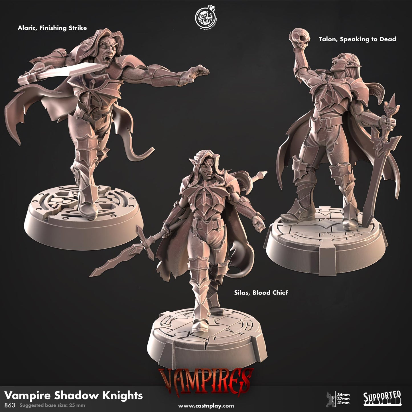 Vampire Shadow Knights | D&D | Miniature | Vampires  | NPC | elites | undead |monster | Cast n Play